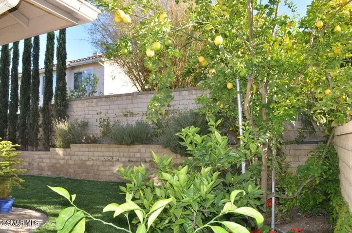 1596 Blue Canyon backyard 3