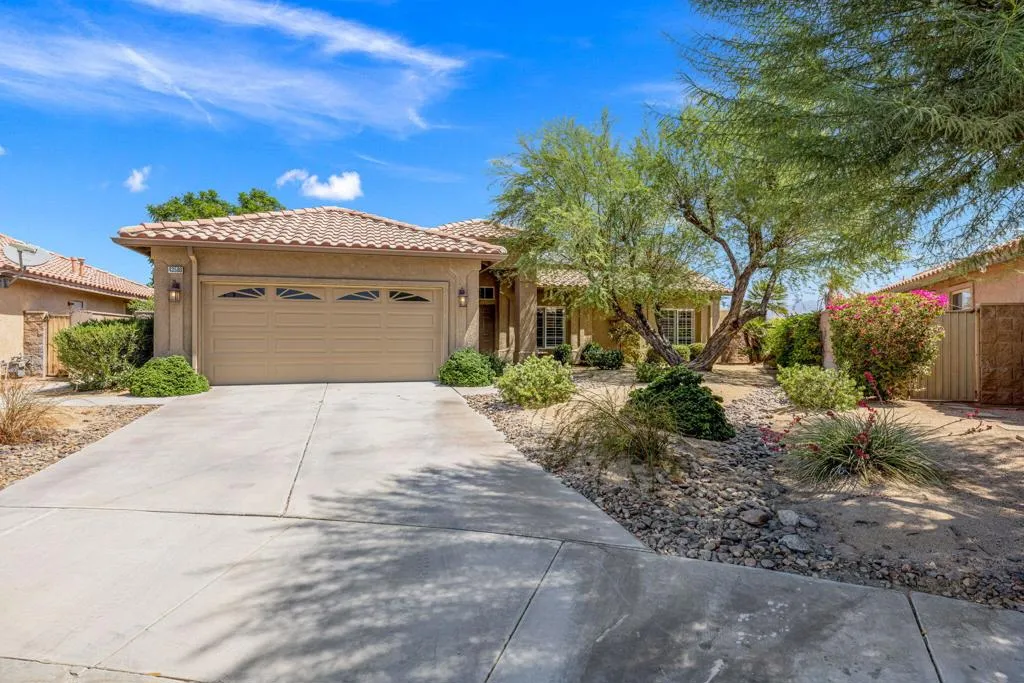 22-web-or-mls-249A6315