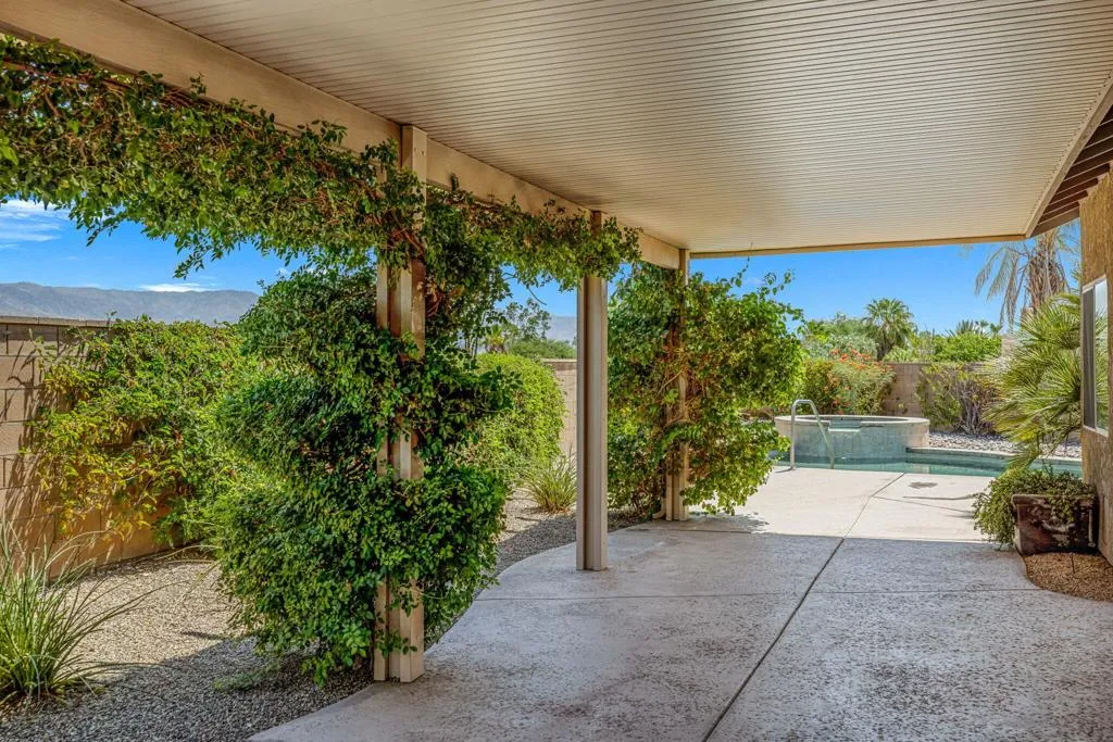 5-web-or-mls-249A6493