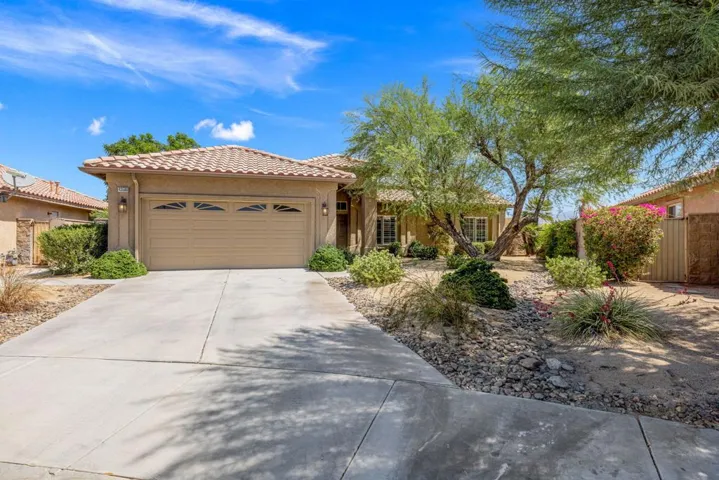 22-web-or-mls-249A6315