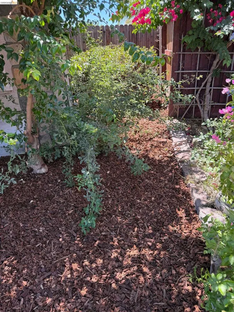 View of​​‌​​​​‌​​‌‌​​‌​​​‌‌​​​‌​​‌‌​​‌‌​​‌‌​​​​ yard