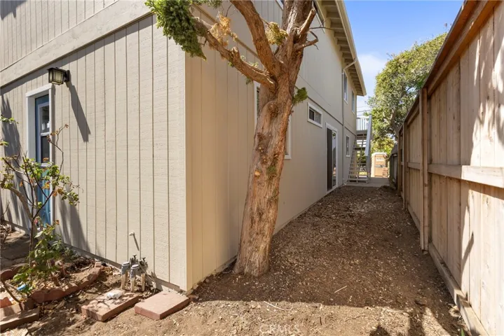 East side yard toward the back of the house