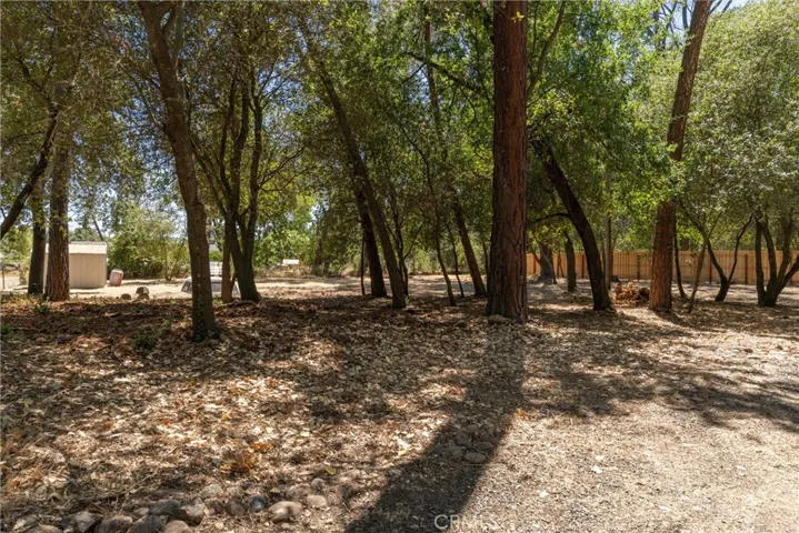 6736 Rock Haven Court, Palermo, California 95966