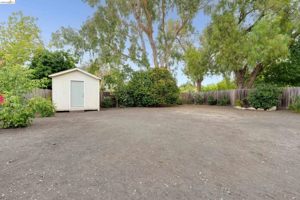 Expansive lot featuring a detached storage shed with a light-colored door, mature trees, established shrubbery, and a wood fence border