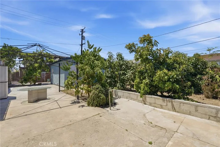 mature fruit trees, fruit should be ready when you move in!