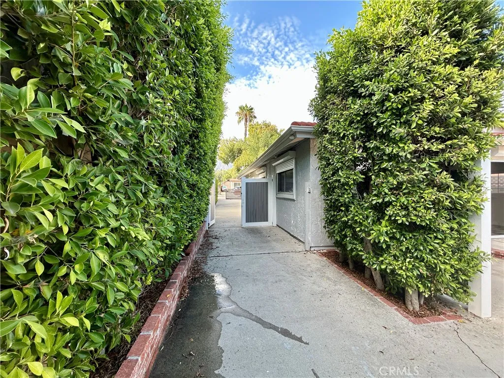 Driveway to street