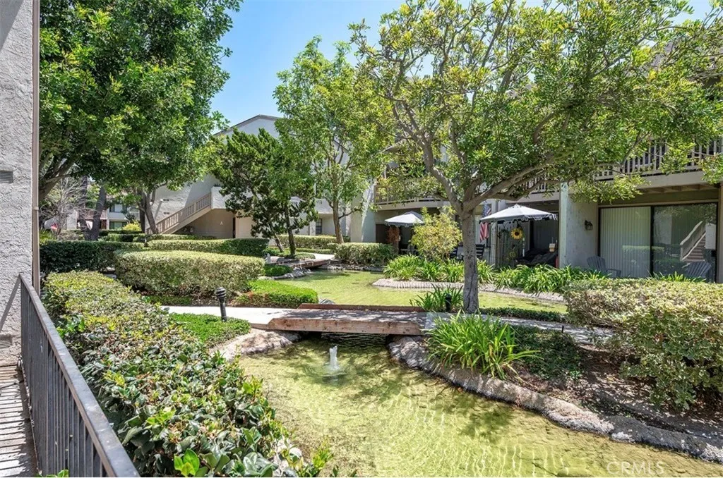 Your patio pond view