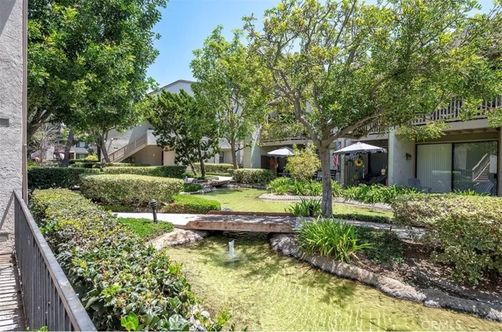 Your patio pond view