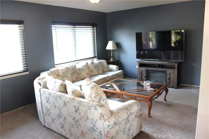 Bonus Room / Family Room