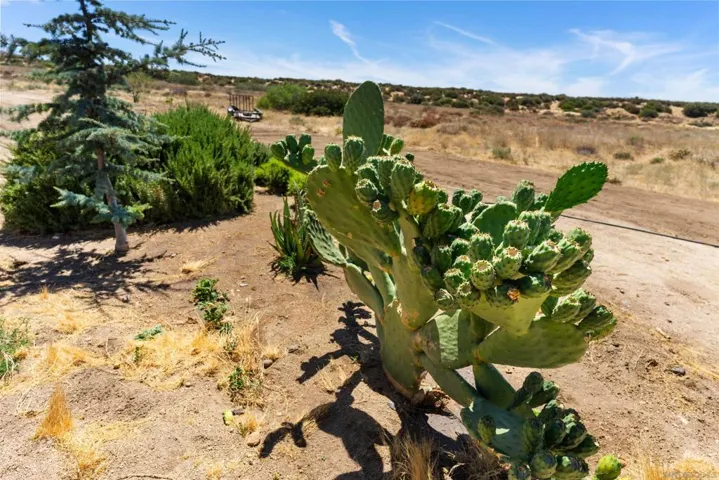 28391 Skyway Dr, Ranchita, California 92066
