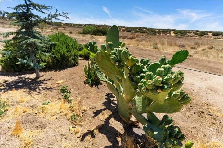 28391 Skyway Dr, Ranchita, California 92066