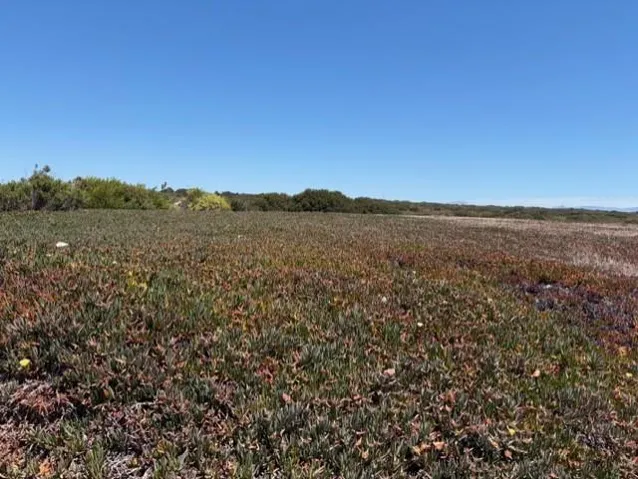 331 Reservation Road, Marina, California 93933