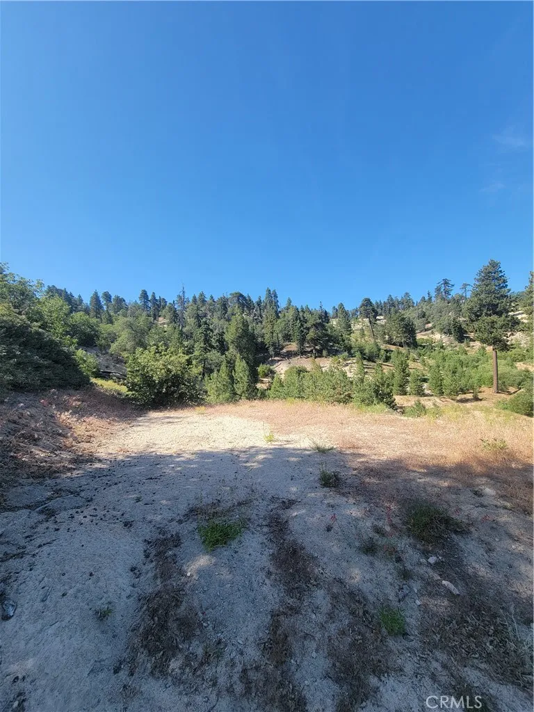 33345 Angeles, Green Valley Lake, California 92341 — photo 4