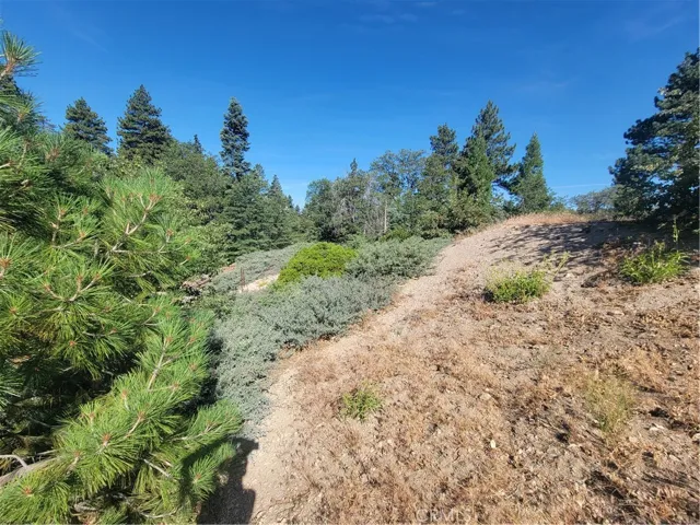33345 Angeles, Green Valley Lake, California 92341