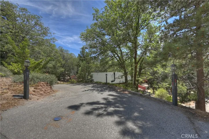 From Juniper Ln