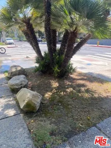 4244 Duquesne Avenue #8, Culver City, California 90232