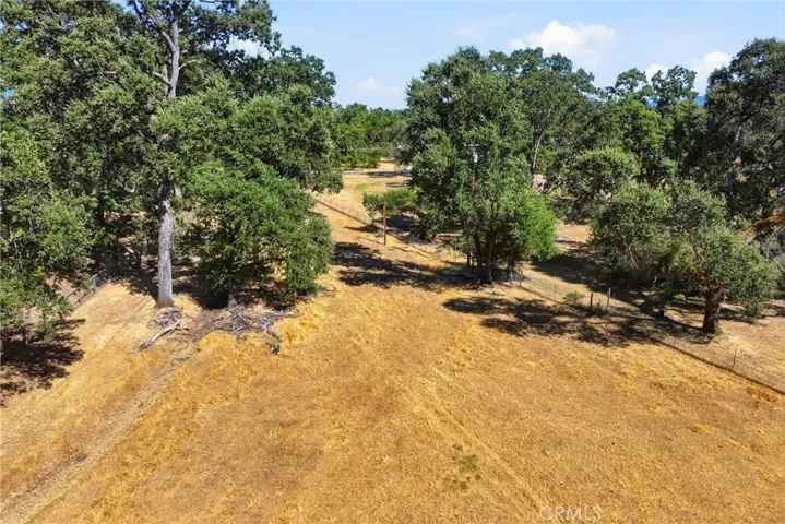 Lower pasture fully fenced
