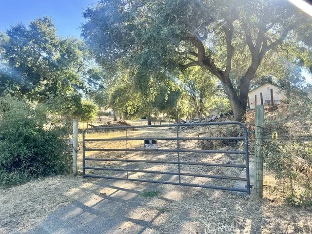Pasture gate on lower acreage