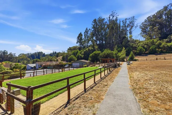 Picnic and walking trails