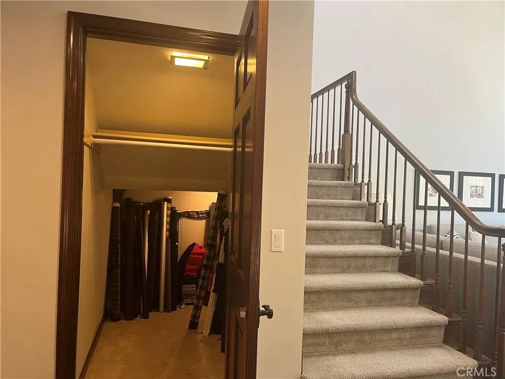 DOWNSTAIRS CLOSET WITH LARGE STORAGE AREA UNDER THE STAIRS