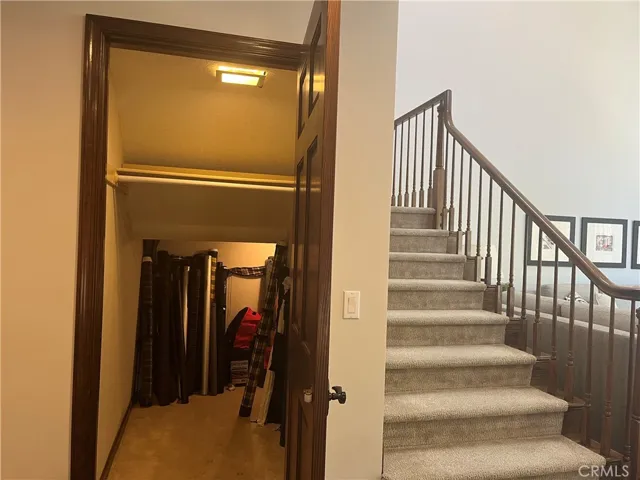DOWNSTAIRS CLOSET WITH LARGE STORAGE AREA UNDER THE STAIRS