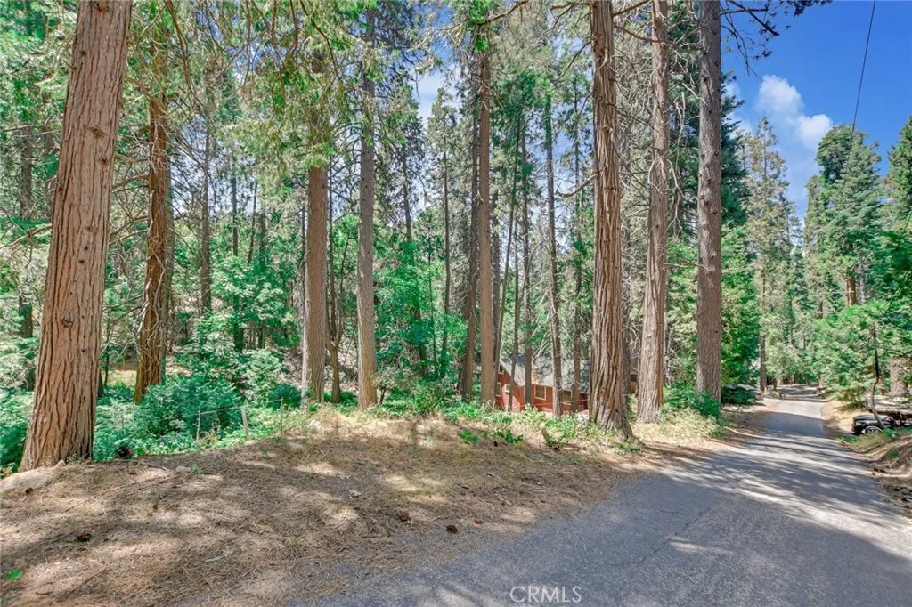 590 Electra Dr