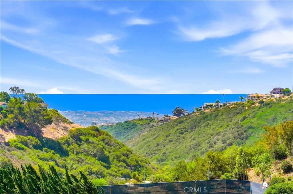 View from the backyard