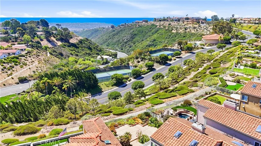 Drone photo of the house