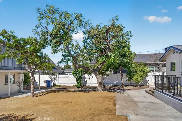 Center Courtyard