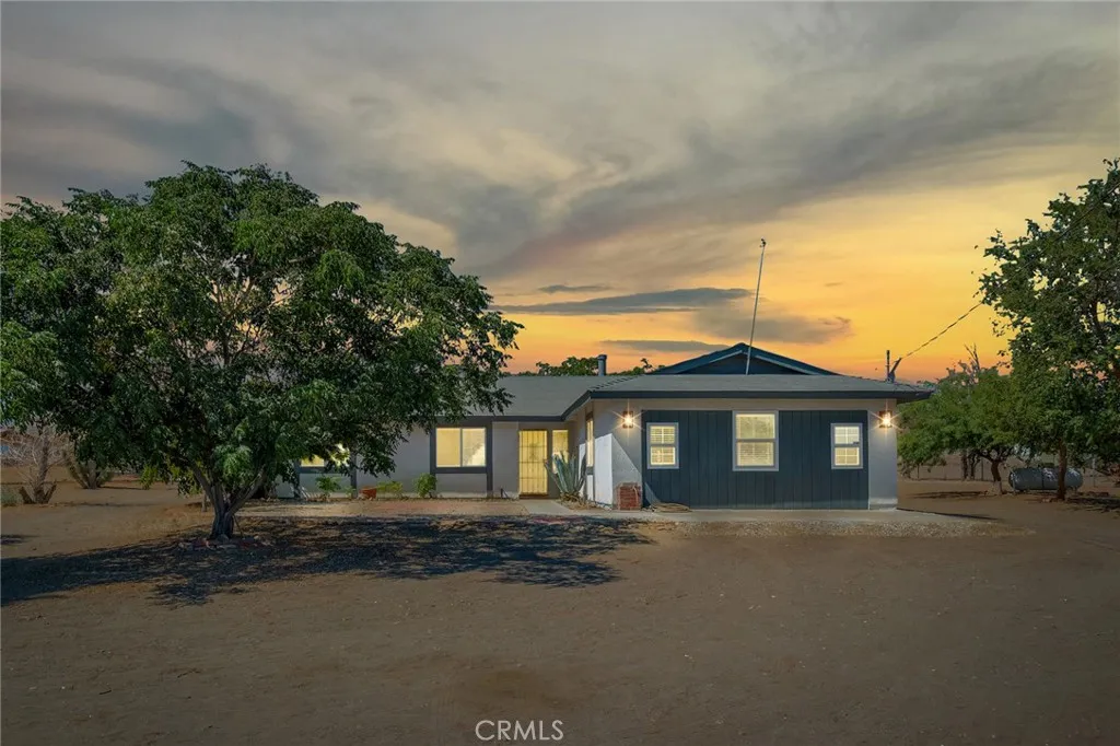 3583 Smoke Tree