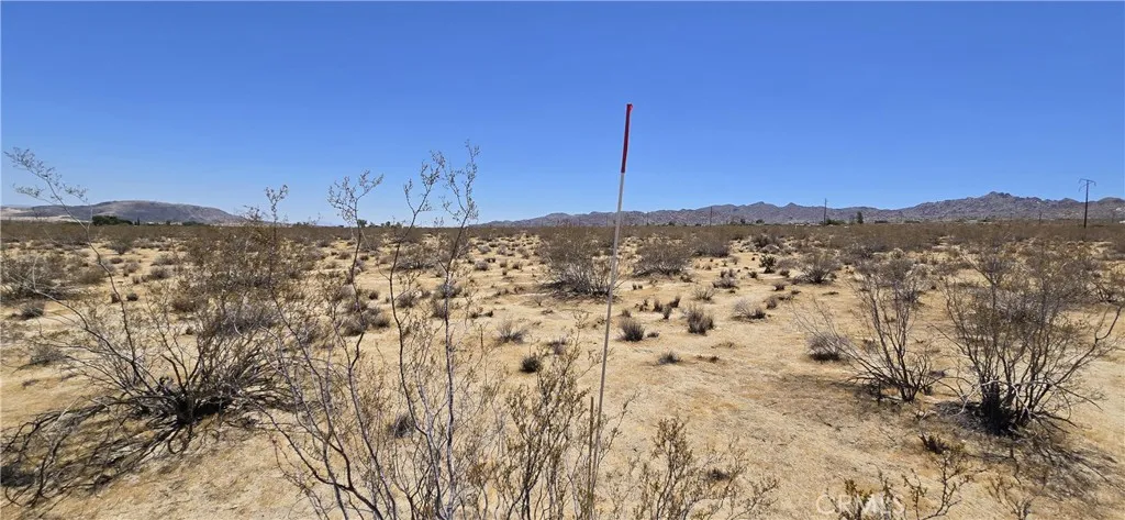 64200 Cottonwood Drive, Joshua Tree, California 92252 — photo 4