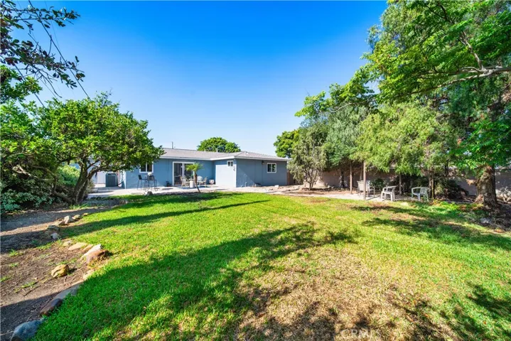 Huge Yard