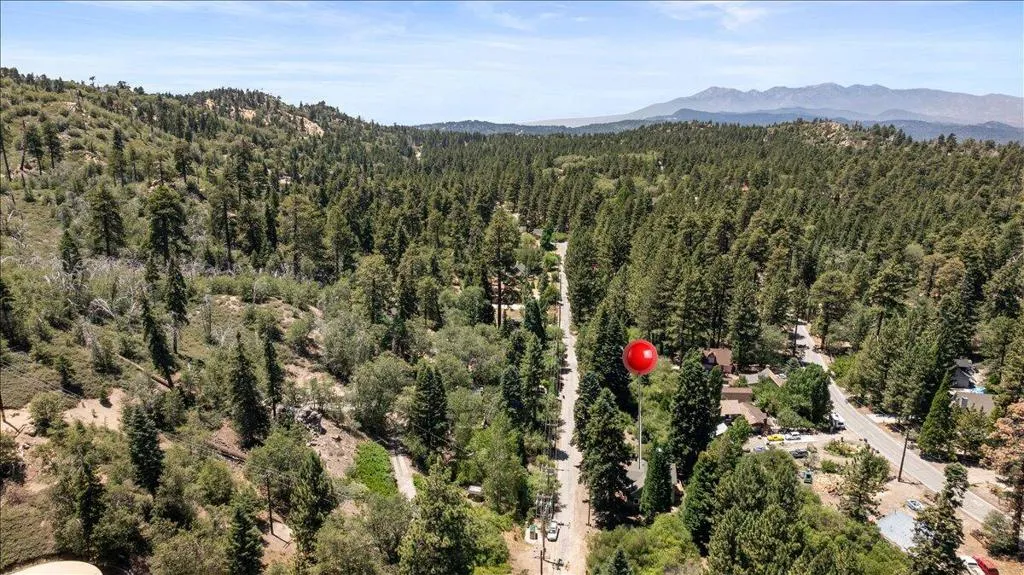 33910 Meadow Lane, Green Valley Lake, California 92341 — photo 4