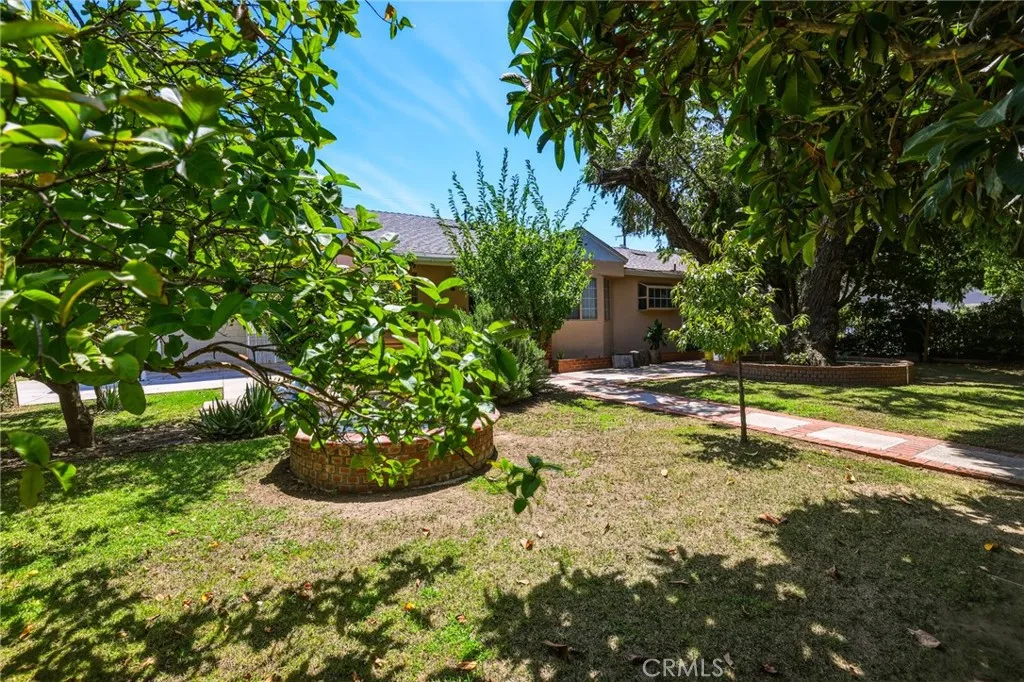 Front Yard