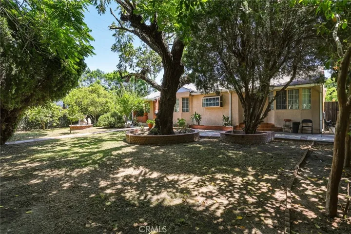 Front Yard