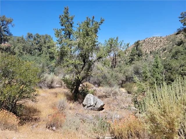 0 Old Oak Springs Valley Road, Wrightwood, California 92397 — photo 4