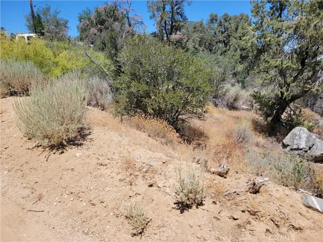 0 Old Oak Springs Valley Road, Wrightwood, California 92397 — photo 5