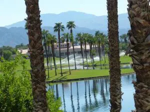 223VW lake
