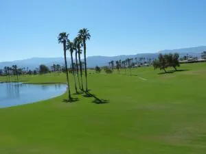 223VW open fwy,to lk