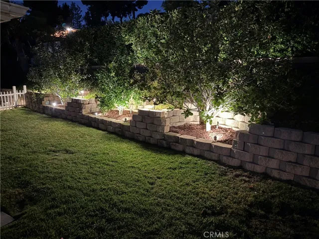 1966 back yard 1
