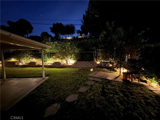 1966 back yard 3