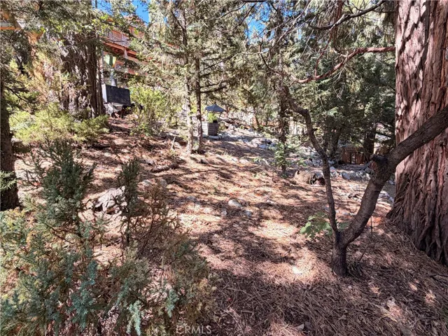 Lot included