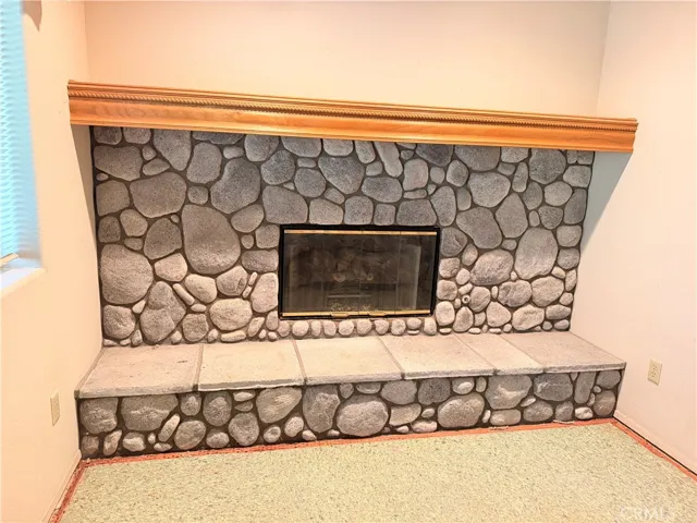 Downstairs primary Fireplace