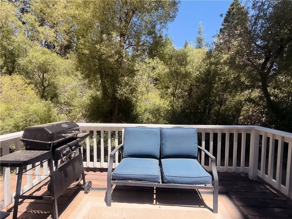 33492 Wild Rose, Green Valley Lake, California 92341 — photo 4