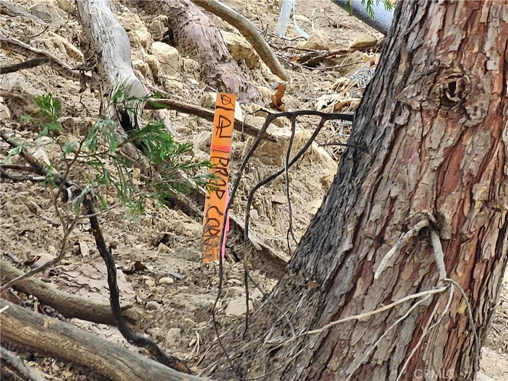 Property corner stake
