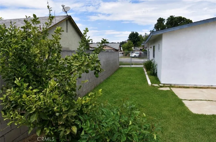 BACKYARD/LEMON TREE
VIRTUALY EDITED