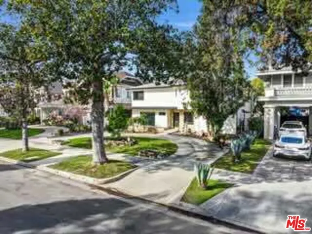 tree-lined streets