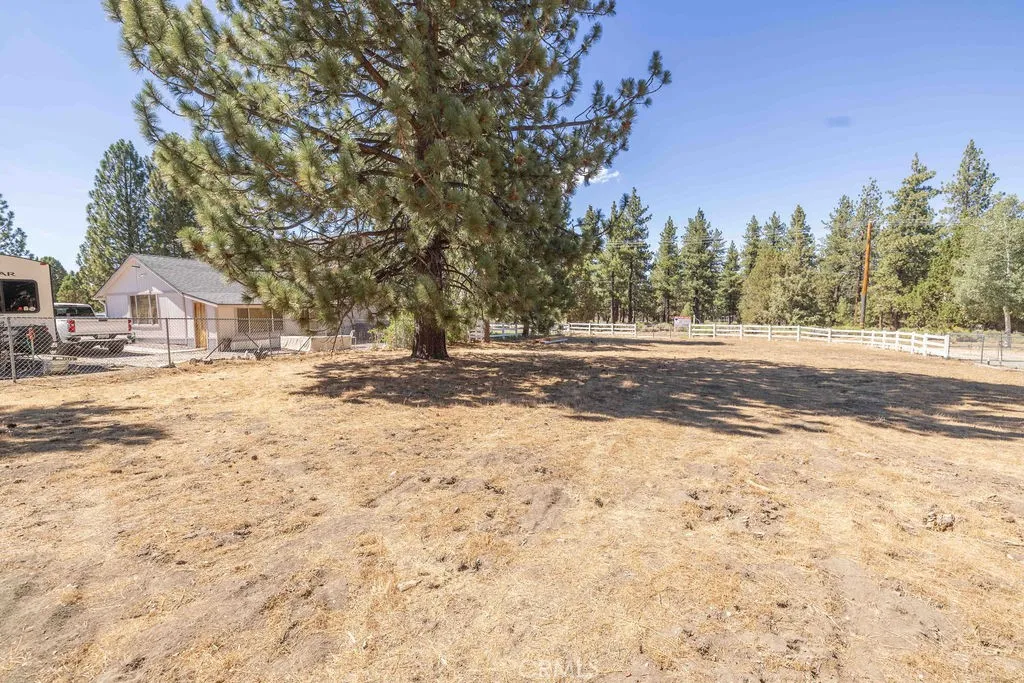 A wonderful lot with trees in the midst of equestrian area