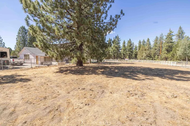 A wonderful lot with trees in the midst of equestrian area