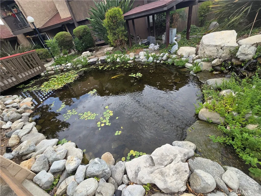 Community Koi Pond